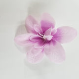 单朵花（粉色） - DaoPu