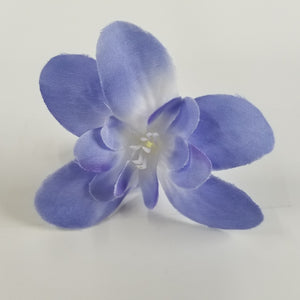 单朵花（蓝色） - DaoPu
